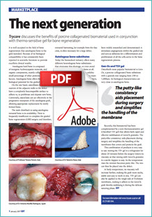 Osteobiol article in the IDT magazine